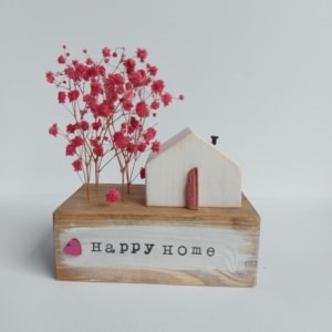 Casita Flores Preservadas